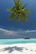 Premium Photographic Print