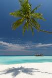 Maldives Tropical Beach, Maldives, Indian Ocean, Asia-Sakis Papadopoulos-Framed Photographic Print