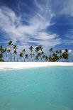 Palm Trees and Tropical Beach, Maldives, Indian Ocean, Asia-Sakis Papadopoulos-Photographic Print