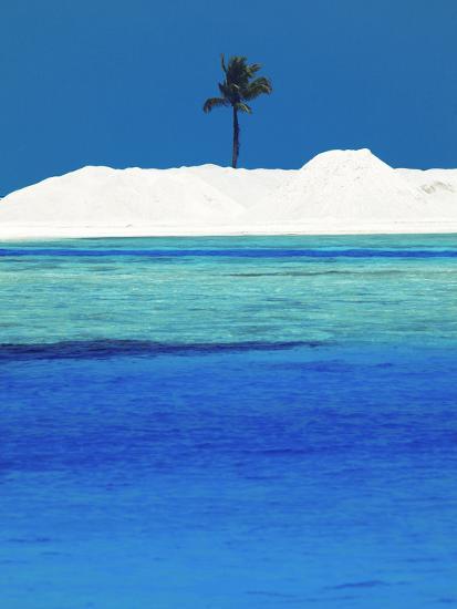 Photographic Print, , large
