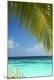 Premium Photographic Print
