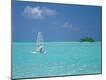 Photographic Print