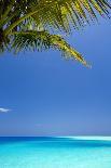 Shades of Blue and Palm Tree, Tropical Beach, Maldives, Indian Ocean, Asia-Sakis-Photographic Print