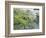 Sakura, Koishikawa Koraku-en Garden, Tokyo, Japan-Rob Tilley-Framed Photographic Print