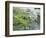 Sakura, Koishikawa Koraku-en Garden, Tokyo, Japan-Rob Tilley-Framed Photographic Print