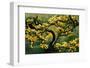 Sakura Tree-Treechild-Framed Photographic Print