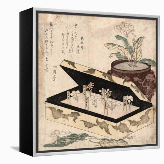 Sakuraso-Kubo Shunman-Framed Premier Image Canvas