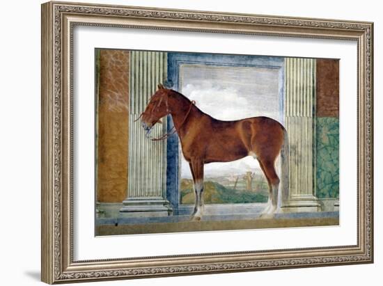 Sala Dei Cavalli, Chestnut Horse from the Stables of Ludovico Gonzaga III of Mantua, 1528-Giulio Romano-Framed Giclee Print