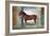 Sala Dei Cavalli, Chestnut Horse from the Stables of Ludovico Gonzaga III of Mantua, 1528-Giulio Romano-Framed Giclee Print