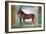 Sala Dei Cavalli, Chestnut Horse from the Stables of Ludovico Gonzaga III of Mantua, 1528-Giulio Romano-Framed Giclee Print