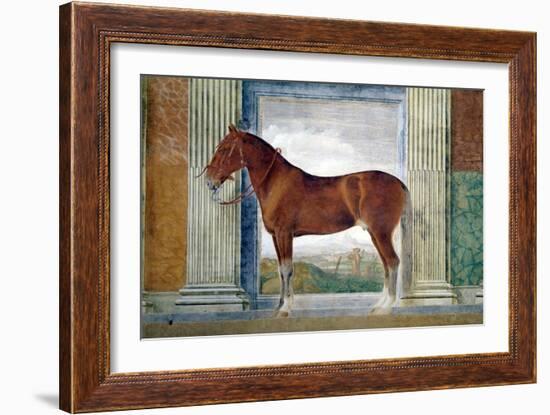 Sala Dei Cavalli, Chestnut Horse from the Stables of Ludovico Gonzaga III of Mantua, 1528-Giulio Romano-Framed Giclee Print