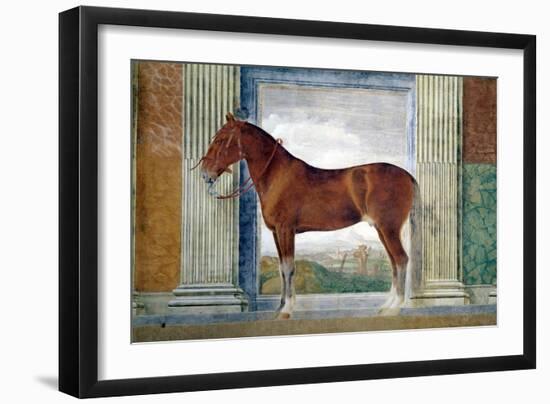 Sala Dei Cavalli, Chestnut Horse from the Stables of Ludovico Gonzaga III of Mantua, 1528-Giulio Romano-Framed Giclee Print