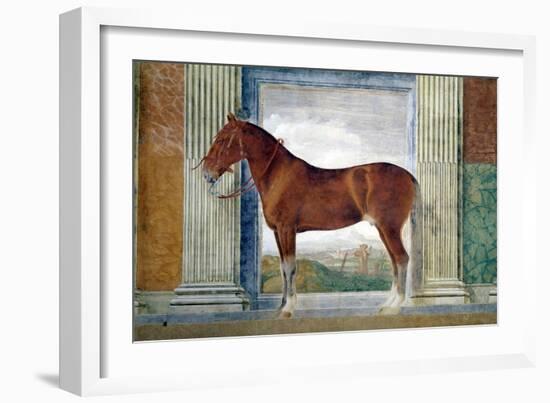 Sala Dei Cavalli, Chestnut Horse from the Stables of Ludovico Gonzaga III of Mantua, 1528-Giulio Romano-Framed Giclee Print