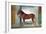 Sala Dei Cavalli, Chestnut Horse from the Stables of Ludovico Gonzaga III of Mantua, 1528-Giulio Romano-Framed Giclee Print