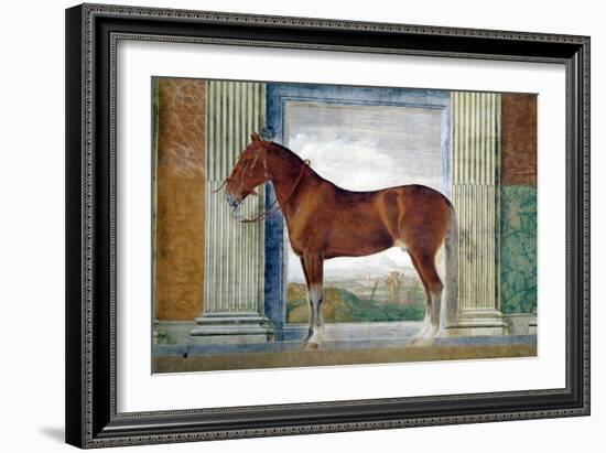 Sala Dei Cavalli, Chestnut Horse from the Stables of Ludovico Gonzaga III of Mantua, 1528-Giulio Romano-Framed Giclee Print