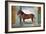 Sala Dei Cavalli, Chestnut Horse from the Stables of Ludovico Gonzaga III of Mantua, 1528-Giulio Romano-Framed Giclee Print