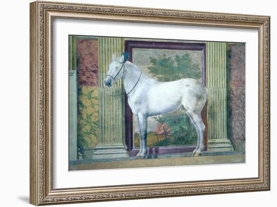 Sala Dei Cavalli, Detail Showing Portrait of a Grey Horse from the Stables of Ludovico Gonzaga III-Giulio Romano-Framed Giclee Print