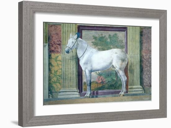 Sala Dei Cavalli, Detail Showing Portrait of a Grey Horse from the Stables of Ludovico Gonzaga III-Giulio Romano-Framed Giclee Print