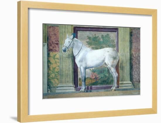 Sala Dei Cavalli, Detail Showing Portrait of a Grey Horse from the Stables of Ludovico Gonzaga III-Giulio Romano-Framed Giclee Print