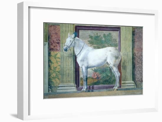 Sala Dei Cavalli, Detail Showing Portrait of a Grey Horse from the Stables of Ludovico Gonzaga III-Giulio Romano-Framed Giclee Print