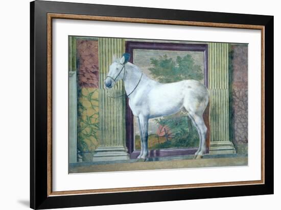 Sala Dei Cavalli, Detail Showing Portrait of a Grey Horse from the Stables of Ludovico Gonzaga III-Giulio Romano-Framed Giclee Print