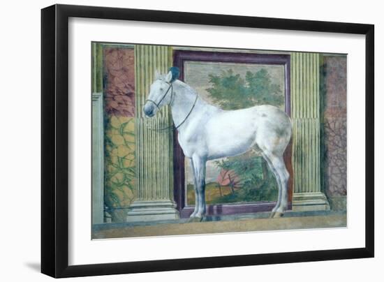 Sala Dei Cavalli, Detail Showing Portrait of a Grey Horse from the Stables of Ludovico Gonzaga III-Giulio Romano-Framed Giclee Print