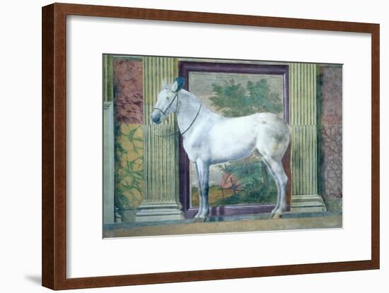 Sala Dei Cavalli, Detail Showing Portrait of a Grey Horse from the Stables of Ludovico Gonzaga III-Giulio Romano-Framed Giclee Print