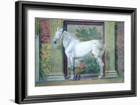 Sala Dei Cavalli, Detail Showing Portrait of a Grey Horse from the Stables of Ludovico Gonzaga III-Giulio Romano-Framed Giclee Print