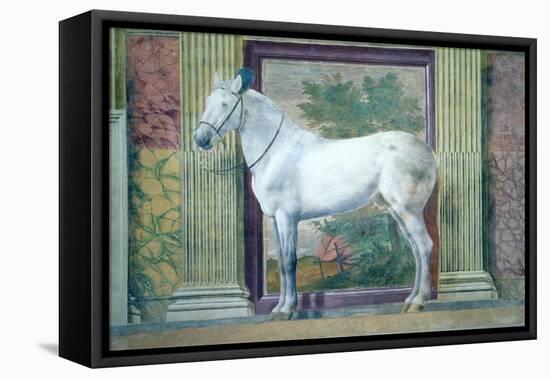 Sala Dei Cavalli, Detail Showing Portrait of a Grey Horse from the Stables of Ludovico Gonzaga III-Giulio Romano-Framed Premier Image Canvas