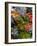 Salad and Vegatables on a Market Stall, France, Europe-Richardson Peter-Framed Photographic Print