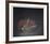 Salad Bowl-Tomoe Yokoi-Framed Collectable Print