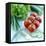 Salad Vegetables-David Munns-Framed Premier Image Canvas