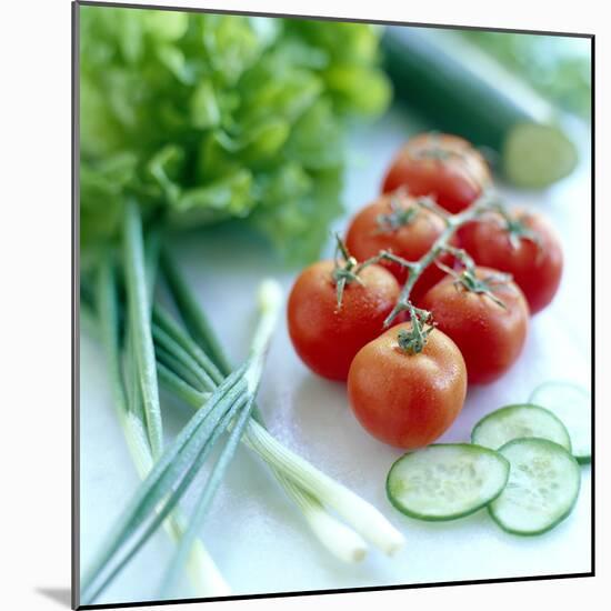 Salad Vegetables-David Munns-Mounted Premium Photographic Print