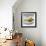 Salad-David Munns-Framed Premium Photographic Print displayed on a wall