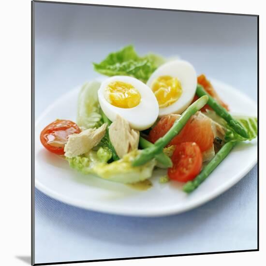 Salad-David Munns-Mounted Premium Photographic Print