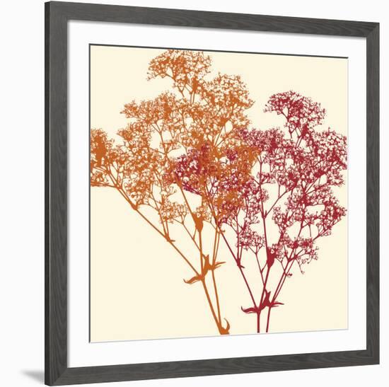 Salamanca-Erin Clark-Framed Giclee Print