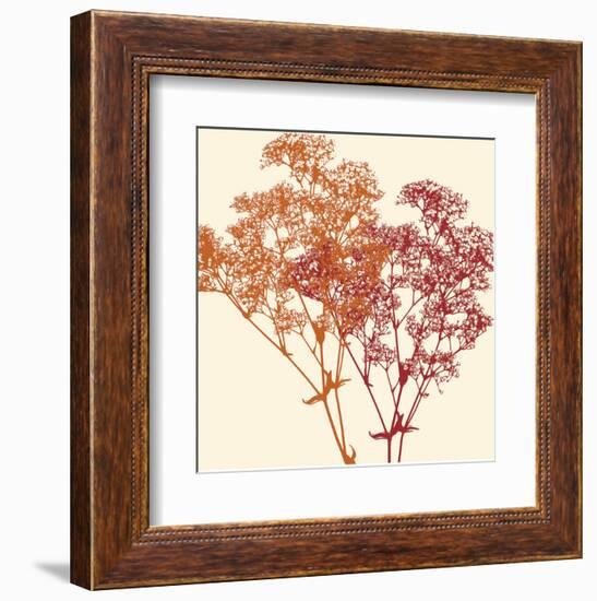 Salamanca-Erin Clark-Framed Art Print