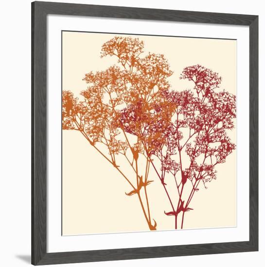 Salamanca-Erin Clark-Framed Art Print