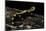 Salamandra Salamandra Terrestris (Fire Salamander)-Paul Starosta-Mounted Photographic Print