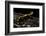 Salamandra Salamandra Terrestris (Fire Salamander)-Paul Starosta-Framed Photographic Print