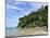 Salang Beach, Pulau Tioman (Tioman Island), Pahang, Malaysia, Southeast Asia, Asia-Jochen Schlenker-Mounted Photographic Print