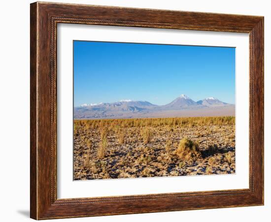 Salar de Atacama, Atacama Desert, Antofagasta Region, Chile, South America-Karol Kozlowski-Framed Photographic Print