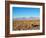 Salar de Atacama, Atacama Desert, Antofagasta Region, Chile, South America-Karol Kozlowski-Framed Photographic Print