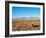 Salar de Atacama, Atacama Desert, Antofagasta Region, Chile, South America-Karol Kozlowski-Framed Photographic Print