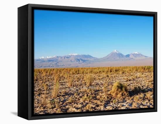 Salar de Atacama, Atacama Desert, Antofagasta Region, Chile, South America-Karol Kozlowski-Framed Premier Image Canvas