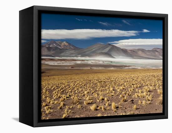 Salar De Talar, Atacama Desert, Chile, South America-Sergio Pitamitz-Framed Premier Image Canvas