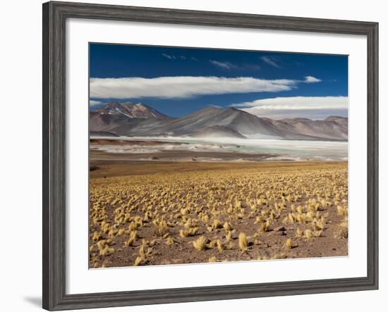 Salar De Talar, Atacama Desert, Chile, South America-Sergio Pitamitz-Framed Photographic Print