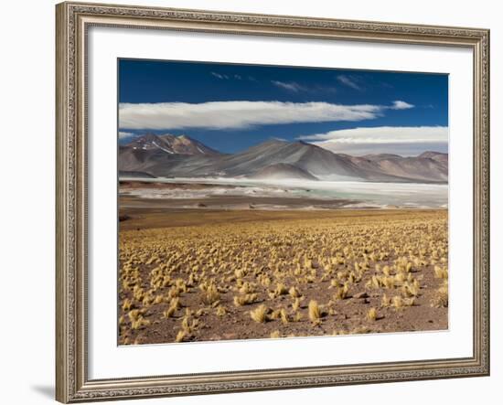 Salar De Talar, Atacama Desert, Chile, South America-Sergio Pitamitz-Framed Photographic Print