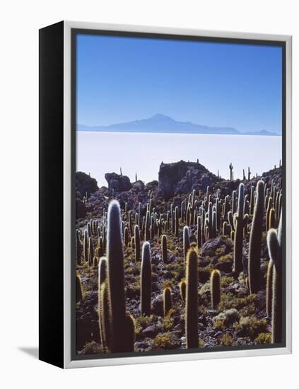 Salar De Uyuni and Cactuses in Isla De Pescado, Bolivia-Massimo Borchi-Framed Premier Image Canvas