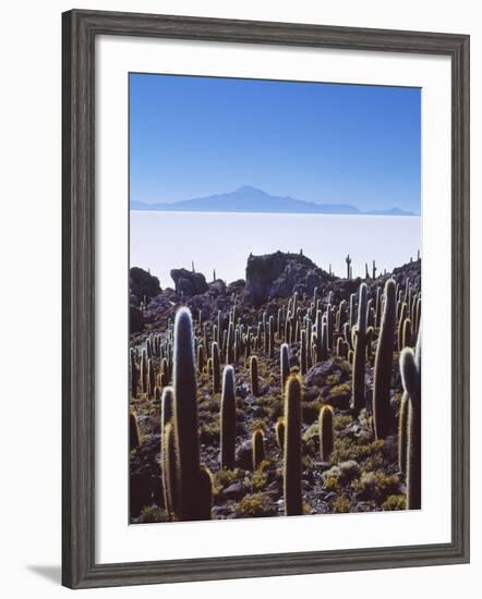 Salar De Uyuni and Cactuses in Isla De Pescado, Bolivia-Massimo Borchi-Framed Photographic Print